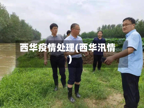 西华疫情处理(西华汛情)-第3张图片