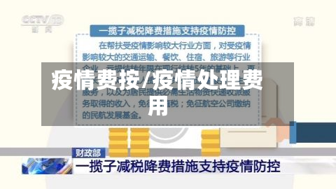 疫情费按/疫情处理费用-第1张图片