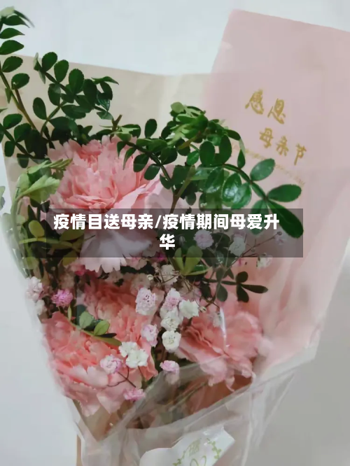 疫情目送母亲/疫情期间母爱升华-第1张图片
