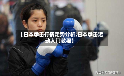 【日本拳击行情走势分析,日本拳击运动入门教程】-第1张图片