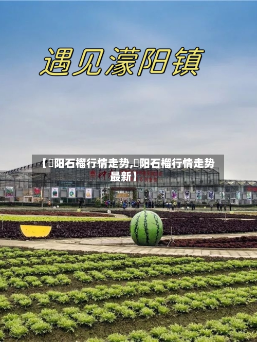 【濛阳石榴行情走势,濛阳石榴行情走势最新】-第2张图片