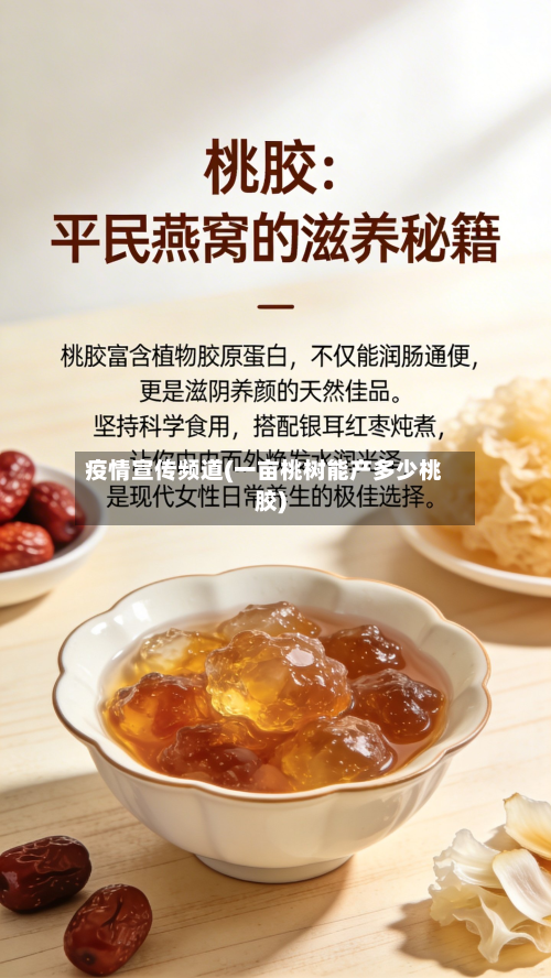 疫情宣传频道(一亩桃树能产多少桃胶)-第1张图片