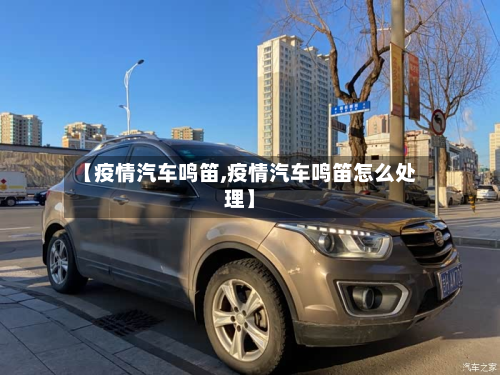 【疫情汽车鸣笛,疫情汽车鸣笛怎么处理】-第3张图片