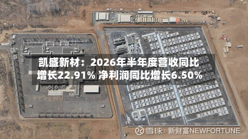 凯盛新材:2026年半年度营收同比增长22.91% 净利润同比增长6.50%-第1张图片