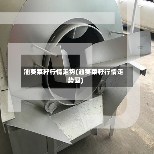 油葵菜籽行情走势(油葵菜籽行情走势图)-第1张图片