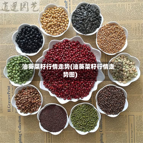 油葵菜籽行情走势(油葵菜籽行情走势图)-第3张图片