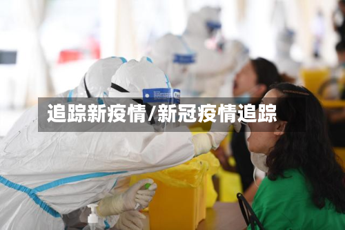追踪新疫情/新冠疫情追踪-第2张图片
