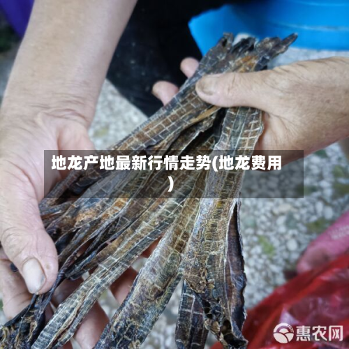 地龙产地最新行情走势(地龙费用)-第2张图片