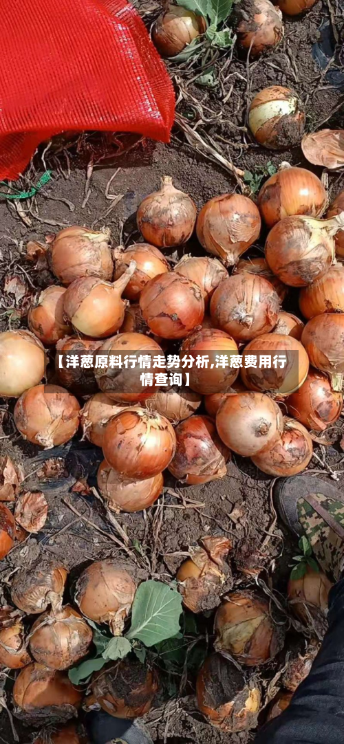 【洋葱原料行情走势分析,洋葱费用行情查询】-第3张图片