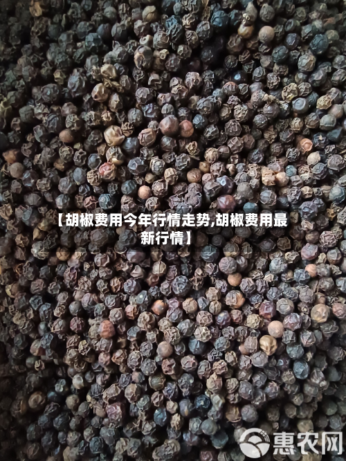 【胡椒费用今年行情走势,胡椒费用最新行情】-第1张图片