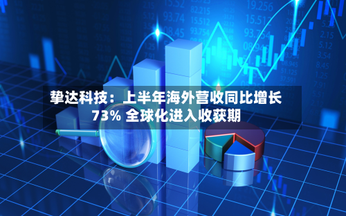 挚达科技:上半年海外营收同比增长73% 全球化进入收获期-第3张图片