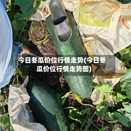 今日冬瓜价位行情走势(今日冬瓜价位行情走势图)-第1张图片