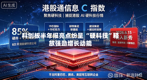 科创板半年报亮点纷呈 “硬科技	”释放强劲增长动能-第1张图片