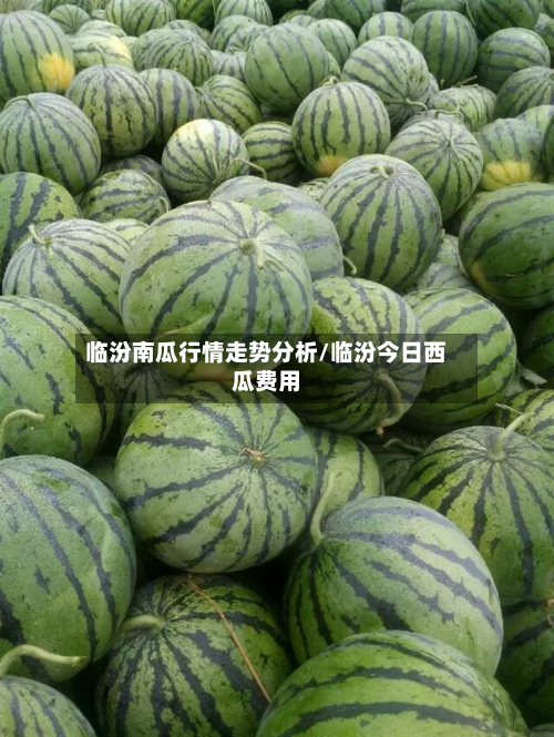 临汾南瓜行情走势分析/临汾今日西瓜费用-第1张图片