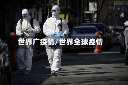 世界广疫情/世界全球疫情-第2张图片