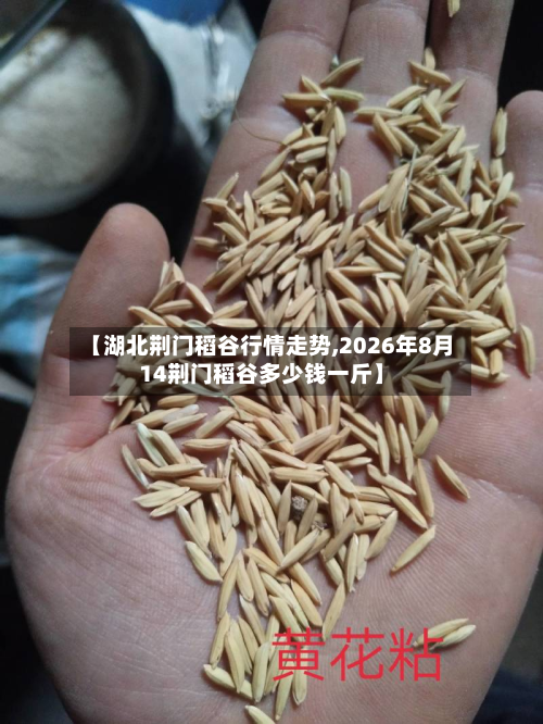 【湖北荆门稻谷行情走势,2026年8月14荆门稻谷多少钱一斤】-第3张图片