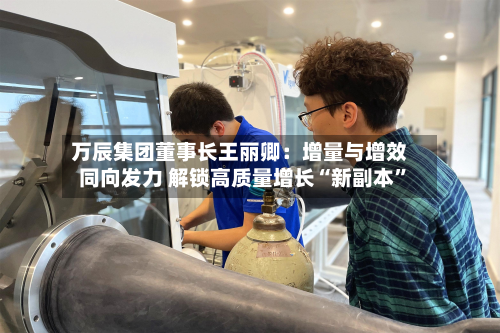 万辰集团董事长王丽卿：增量与增效同向发力 解锁高质量增长“新副本”-第1张图片