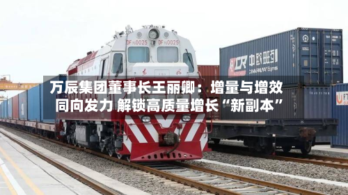 万辰集团董事长王丽卿：增量与增效同向发力 解锁高质量增长“新副本”-第2张图片