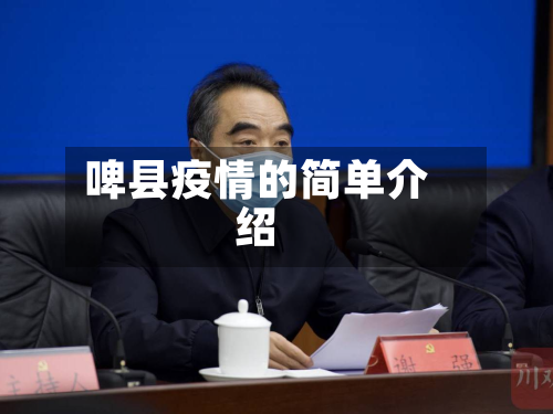 啤县疫情的简单介绍-第2张图片