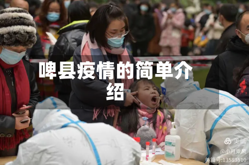 啤县疫情的简单介绍-第1张图片
