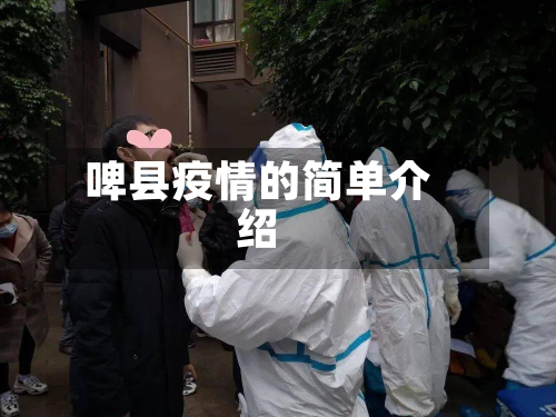 啤县疫情的简单介绍-第3张图片