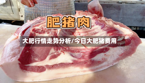 大肥行情走势分析/今日大肥猪费用-第2张图片