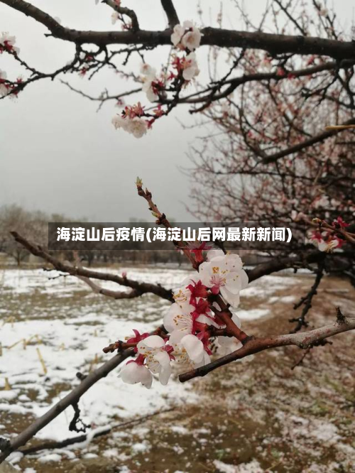 海淀山后疫情(海淀山后网最新新闻)-第1张图片