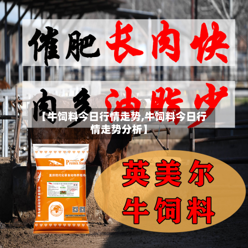 【牛饲料今日行情走势,牛饲料今日行情走势分析】-第1张图片