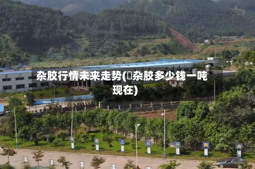 杂胶行情未来走势(擬杂胶多少钱一吨现在)-第3张图片