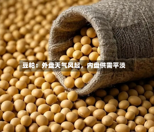 豆粕：外盘天气风起	，内盘供需平淡-第1张图片
