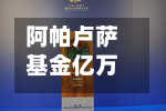 阿帕卢萨基金亿万富翁泰珀减持美光，连续6个季度大举买入一只优质AI芯片股-第2张图片