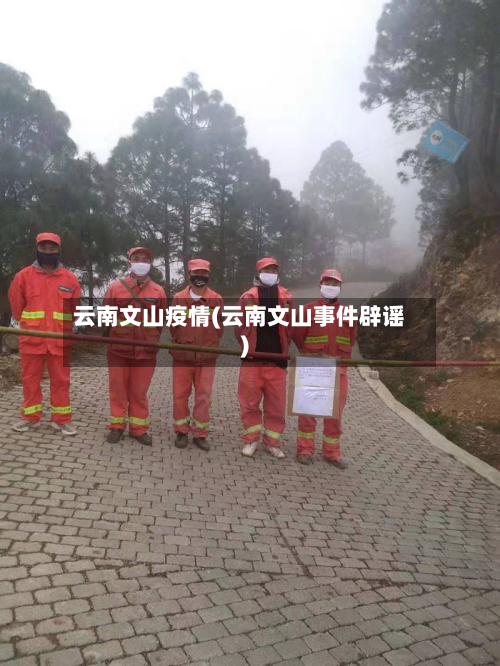 云南文山疫情(云南文山事件辟谣)-第3张图片
