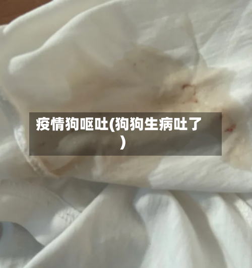 疫情狗呕吐(狗狗生病吐了)-第3张图片