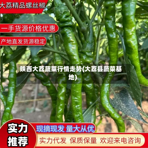 陕西大荔蔬菜行情走势(大荔县蔬菜基地)-第1张图片
