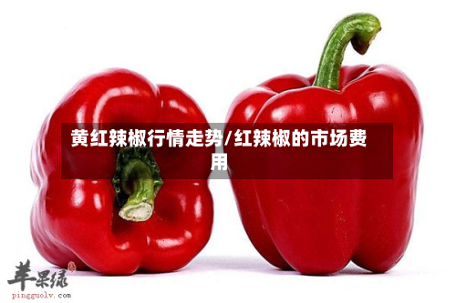 黄红辣椒行情走势/红辣椒的市场费用-第3张图片