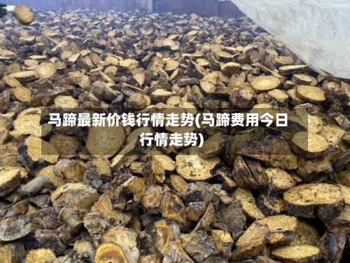 马蹄最新价钱行情走势(马蹄费用今日行情走势)-第2张图片