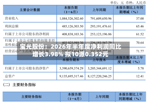 宝光股份:2026年半年度净利润同比增长3.98% 拟10派0.352元-第1张图片