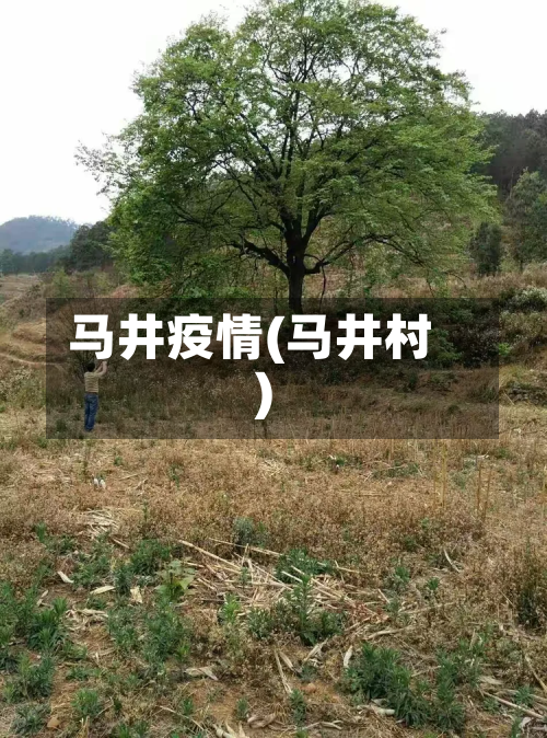 马井疫情(马井村)-第1张图片