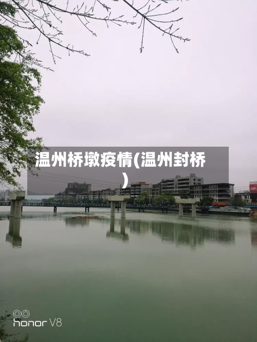 温州桥墩疫情(温州封桥)-第2张图片