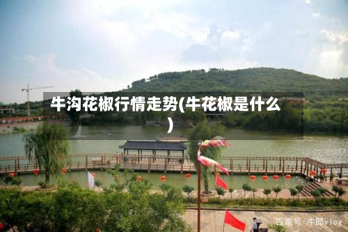 牛沟花椒行情走势(牛花椒是什么)-第2张图片