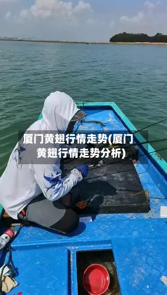 厦门黄翅行情走势(厦门黄翅行情走势分析)-第1张图片