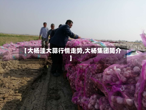 【大杨洼大蒜行情走势,大杨集团简介】-第2张图片