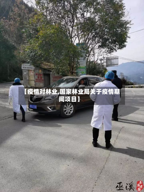 【疫情对林业,国家林业局关于疫情期间项目】-第3张图片