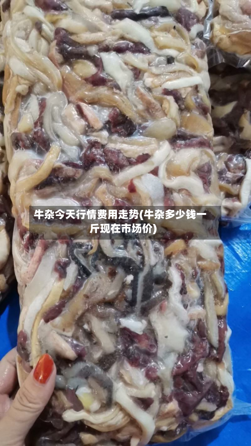 牛杂今天行情费用走势(牛杂多少钱一斤现在市场价)-第2张图片