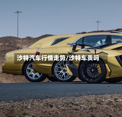 沙特汽车行情走势/沙特车贵吗-第3张图片