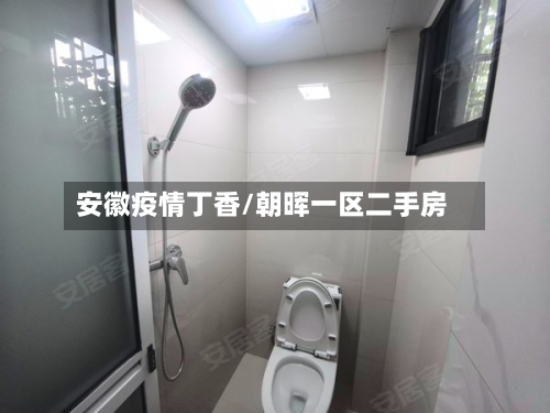 安徽疫情丁香/朝晖一区二手房-第2张图片