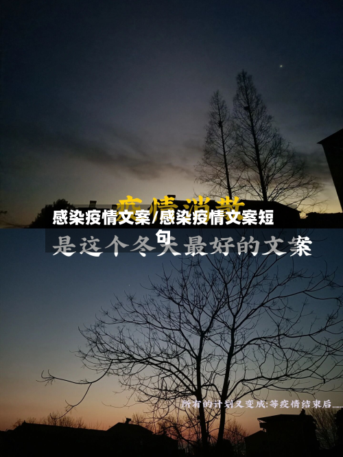感染疫情文案/感染疫情文案短句-第2张图片