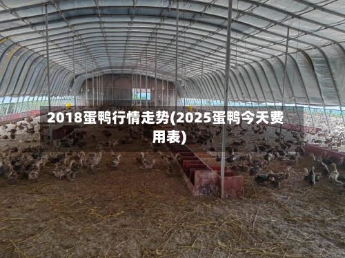 2018蛋鸭行情走势(2025蛋鸭今天费用表)-第1张图片