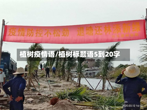 植树疫情语/植树标题语5到20字-第1张图片