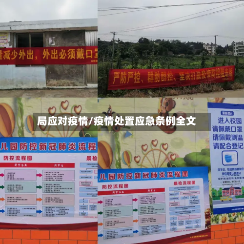 局应对疫情/疫情处置应急条例全文-第3张图片